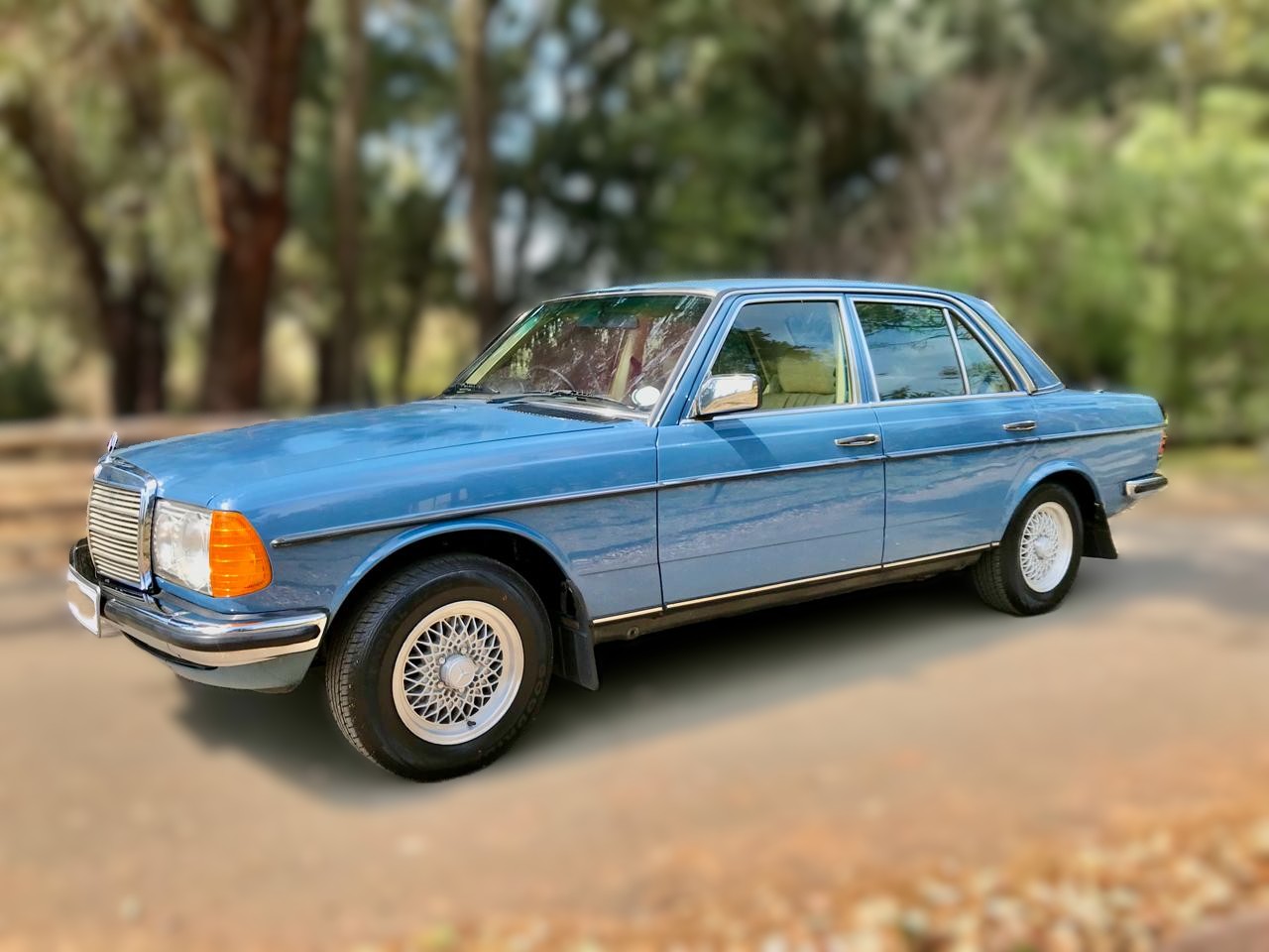 1984 Mercedes Benz W123 200